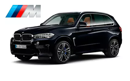 Диагностика BMW X5M F85